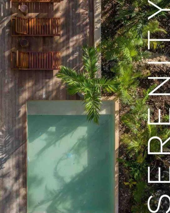 Villa Xuncari In The Heart Of The Jungle Tulum Ngoại thất bức ảnh