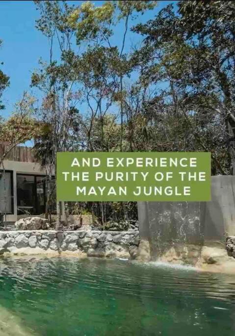Villa Xuncari In The Heart Of The Jungle Tulum Ngoại thất bức ảnh
